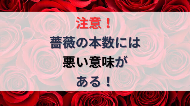 「薔薇の本数に悪い意味がある」のアイキャッチ画像