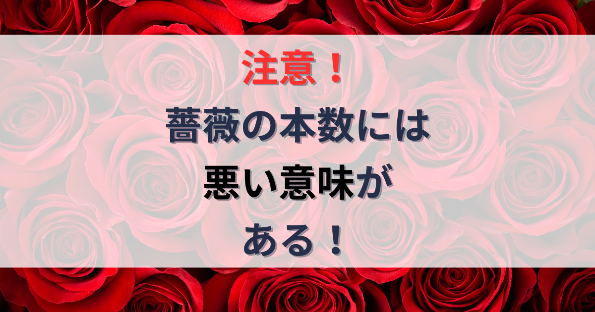 「薔薇の本数に悪い意味がある」のアイキャッチ画像