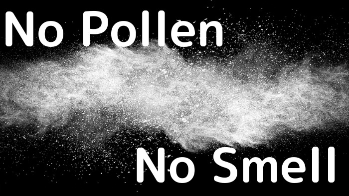 no pollen no smellの文字が書かれた画像