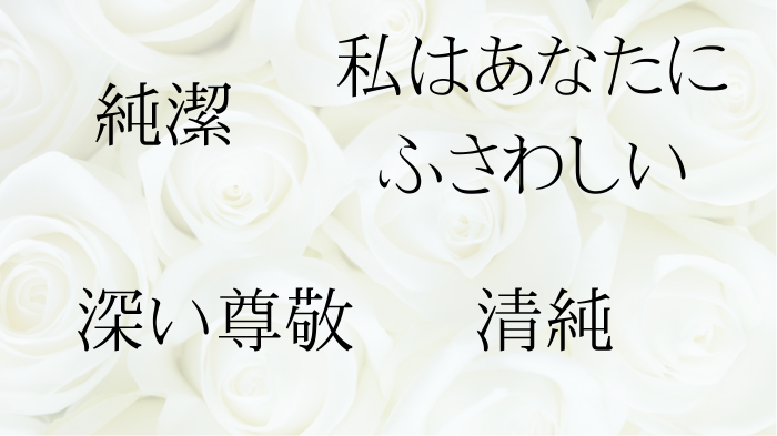 白い薔薇がもつ4つの意味を示した画像