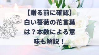 白い薔薇の花言葉の記事のアイキャッチ画像