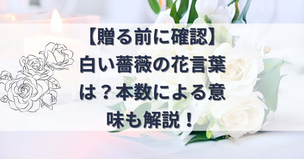 白い薔薇の花言葉の記事のアイキャッチ画像