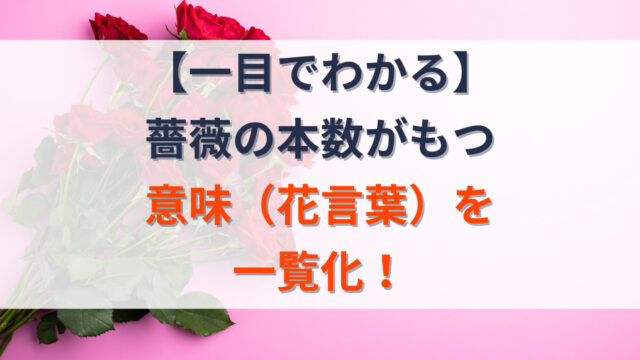 薔薇の花言葉一覧の記事のアイキャッチ画像