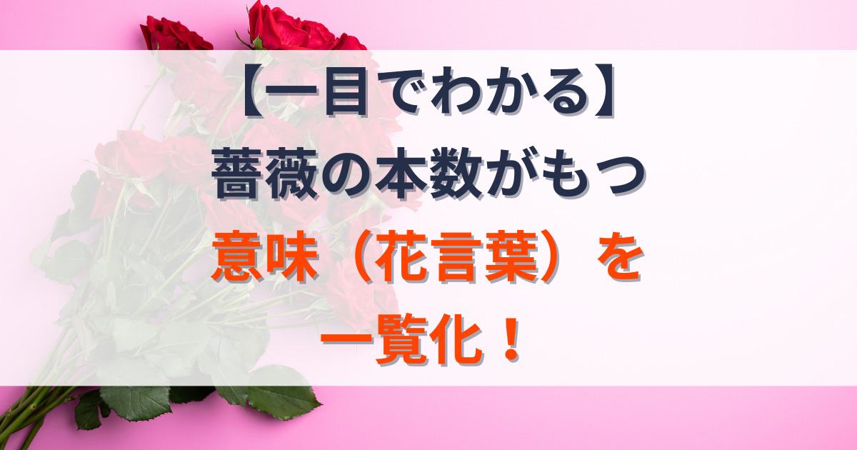 薔薇の花言葉一覧の記事のアイキャッチ画像