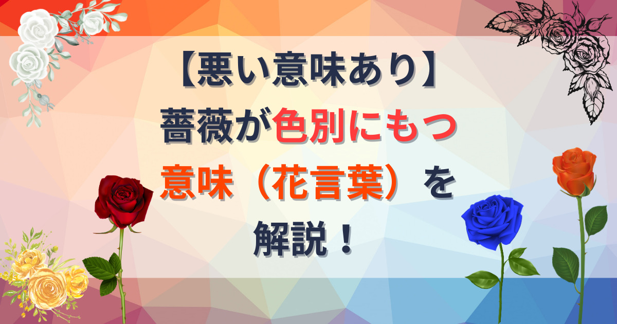 薔薇の色別の花言葉を解説する記事のアイキャッチ