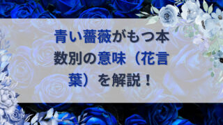 青い薔薇の花言葉を開設する記事のアイキャッチ画像