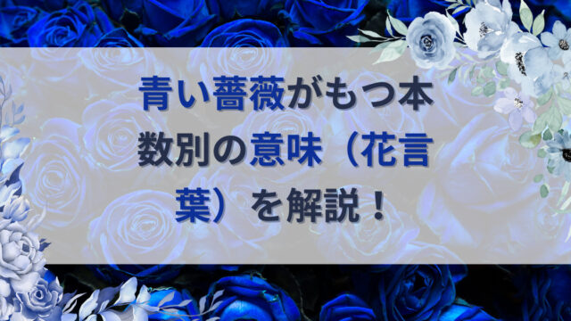 青い薔薇の花言葉を開設する記事のアイキャッチ画像