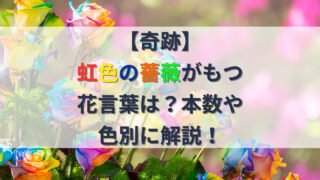 虹色の薔薇の花言葉を紹介する記事のアイキャッチ画像