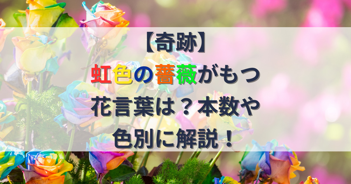 虹色の薔薇の花言葉を紹介する記事のアイキャッチ画像