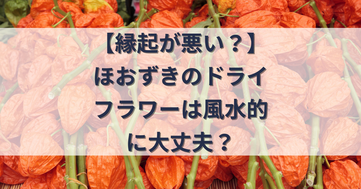 ほおずきのドライフラワーの記事のアイキャッチ画像